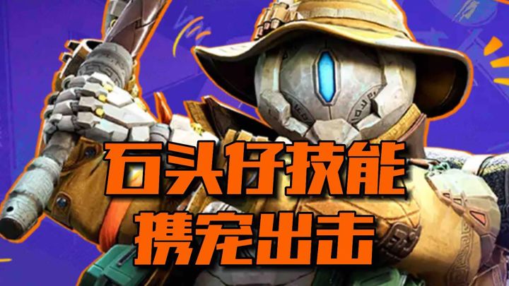 石头仔才是“宠”界天花板截图