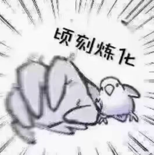 迷思海1000m 3