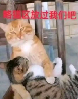 你们和朋友玩的能不能开密码房❓截图