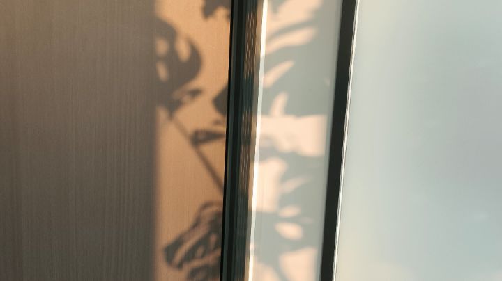 顾少棠老农日记26.1.24-25截图