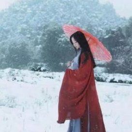 《六神的抉择》关于火炬新版本的建议