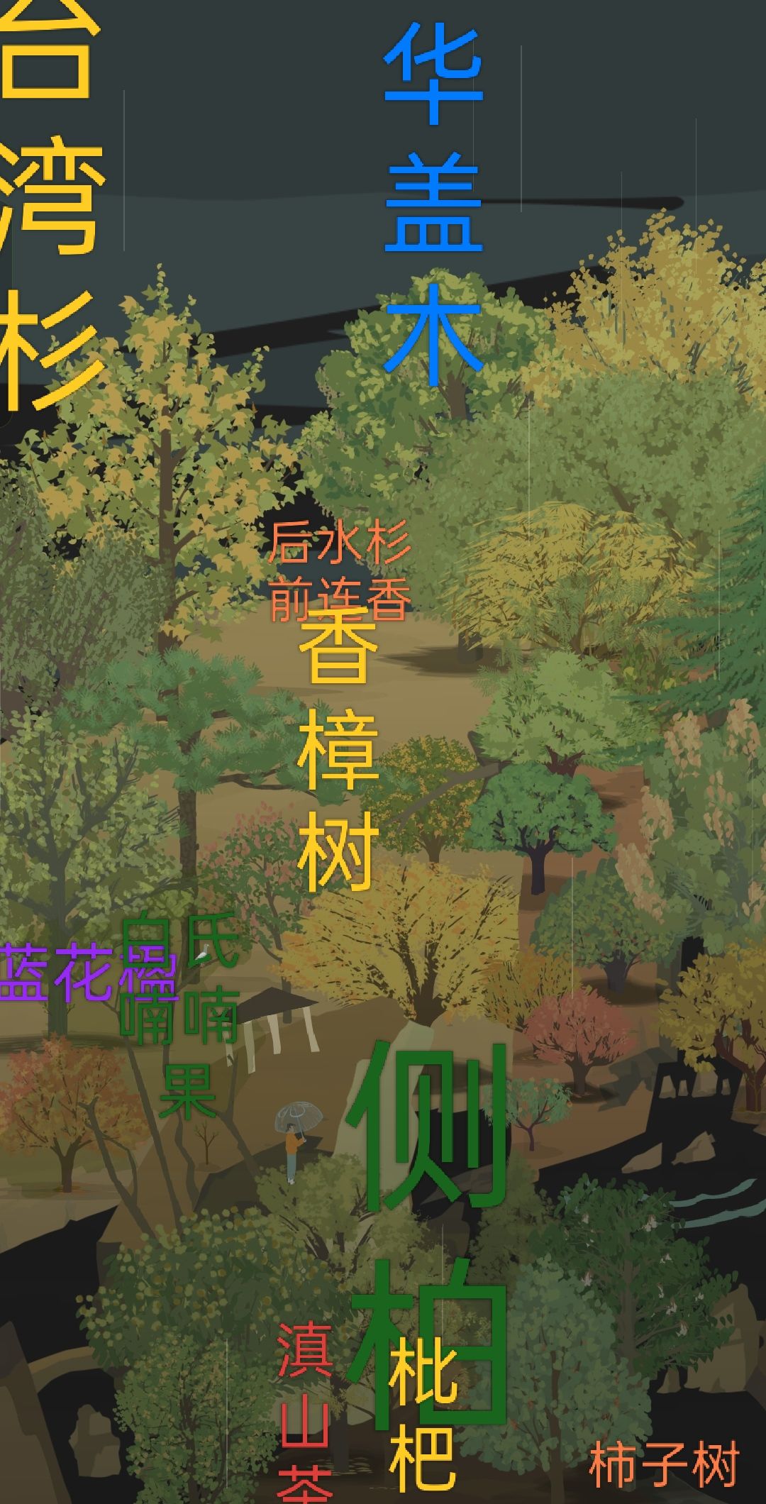 猜猜山头有多少棵树 1