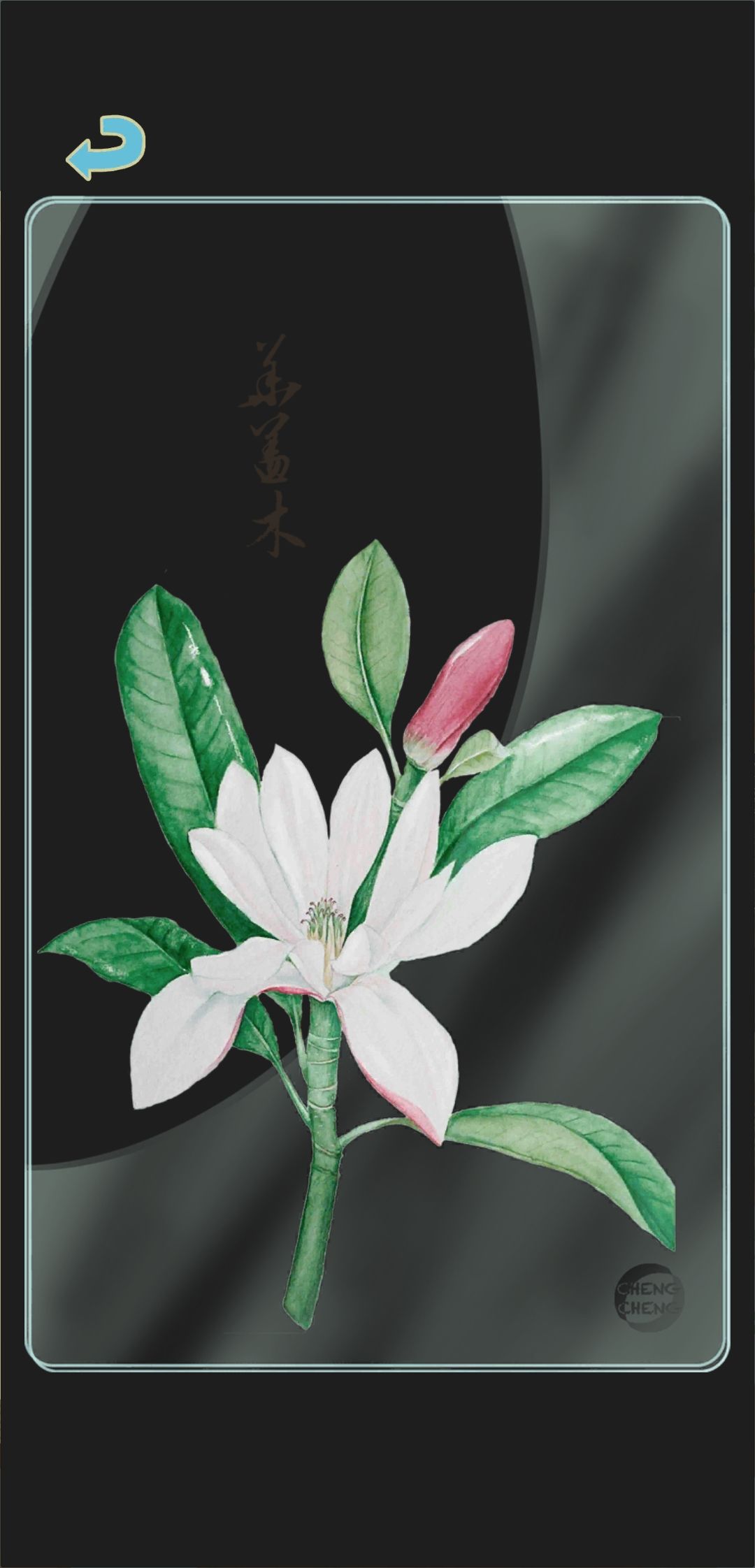 冬季树种透卡2 1
