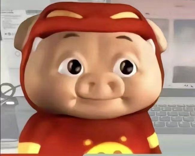 备战198区😁截图