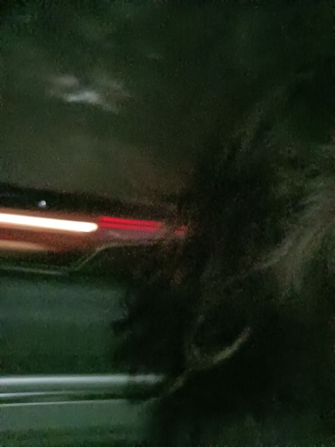 可爱的头像 3