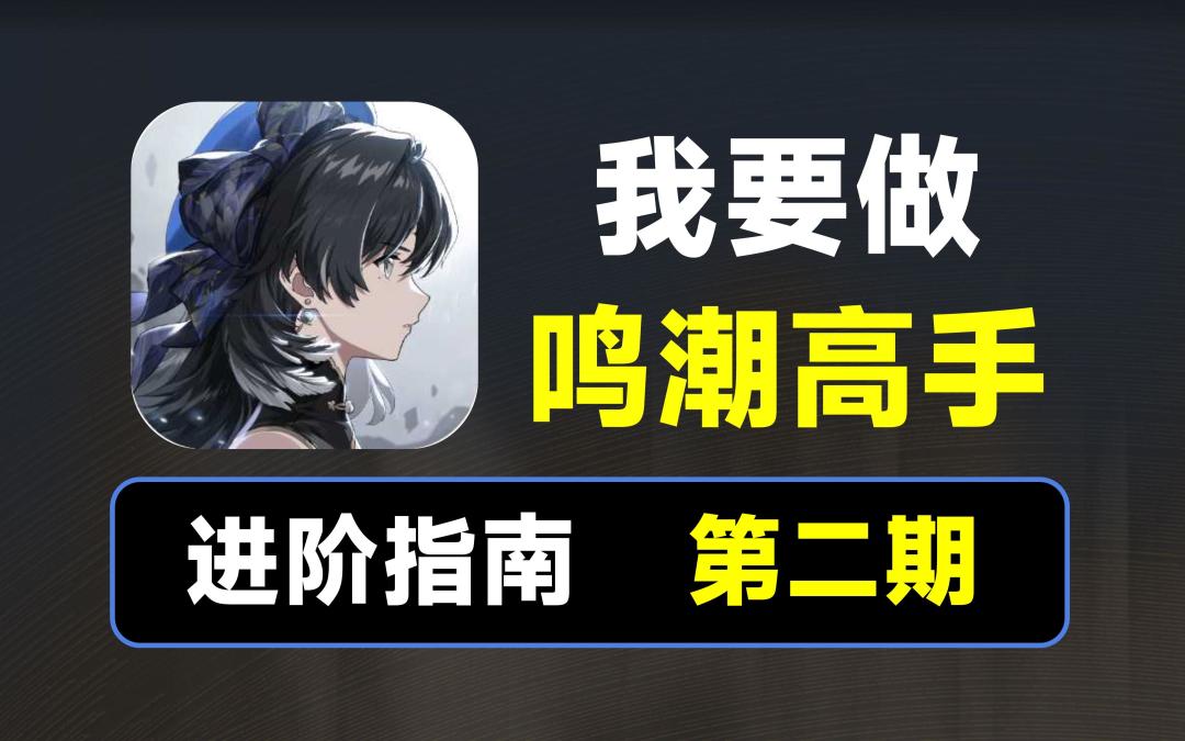 【鸣潮】高手进阶之路，第二期截图
