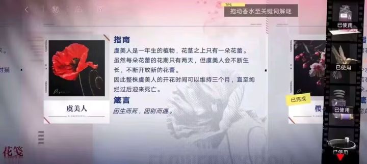 无期历11.8日 虞美人凋零截图