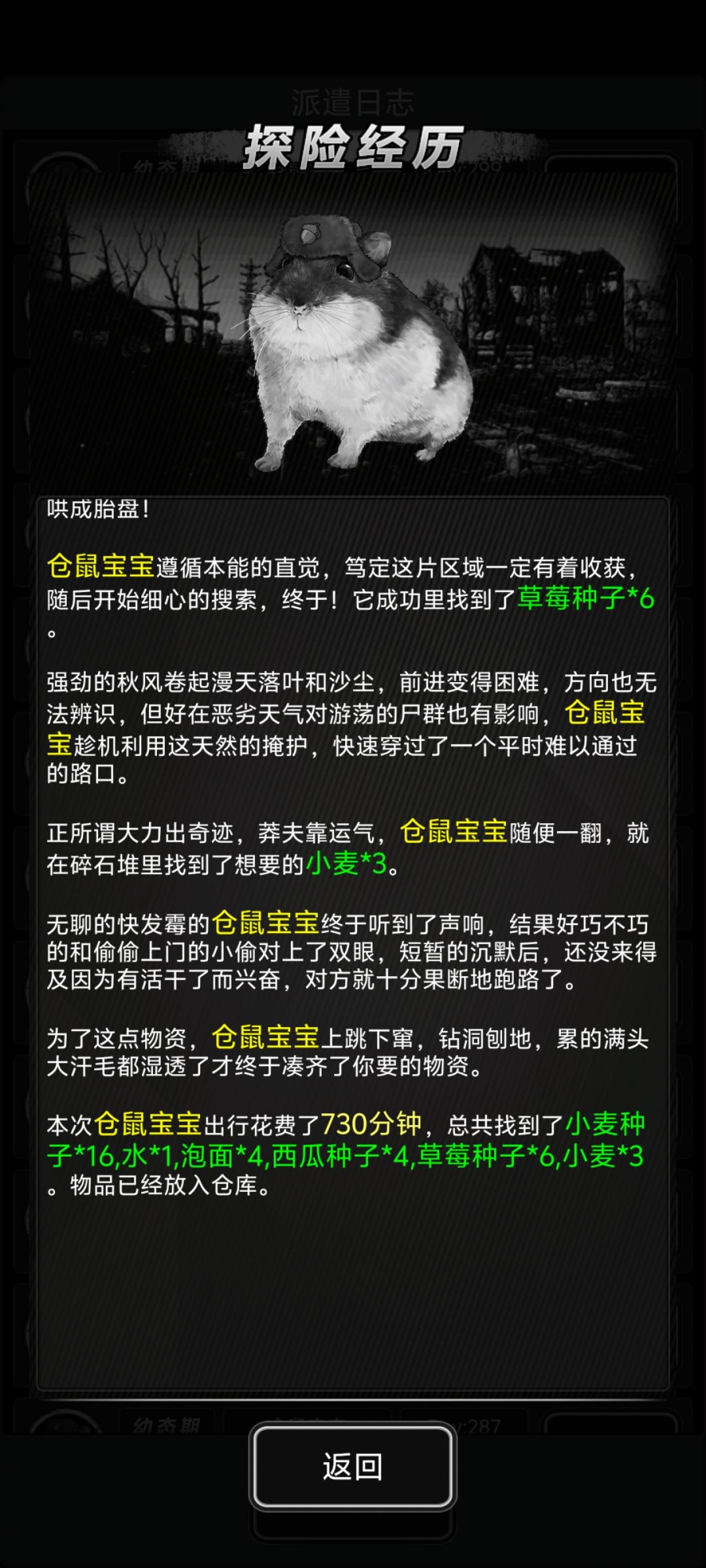 关于宠物的派遣 1