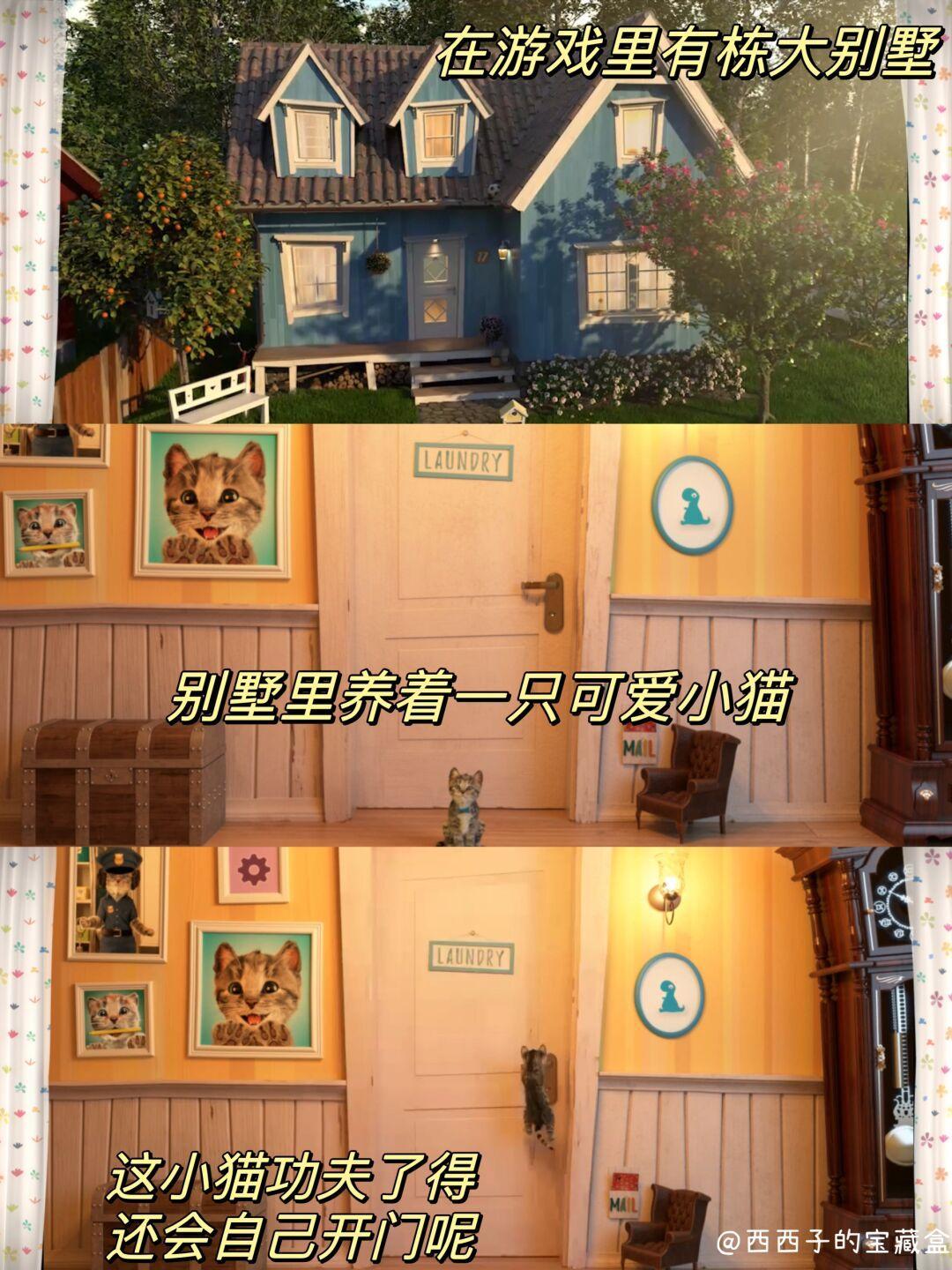 🐱超可爱的猫猫模拟游戏｜沉浸式养猫 2