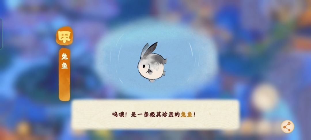 兔鱼 1
