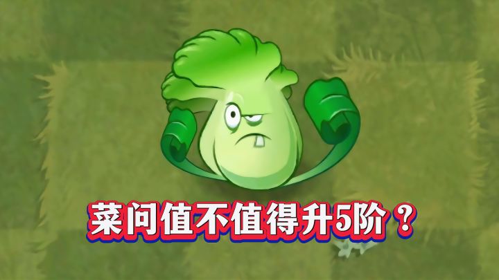 菜问升五阶到底值不值？1-5阶实测截图
