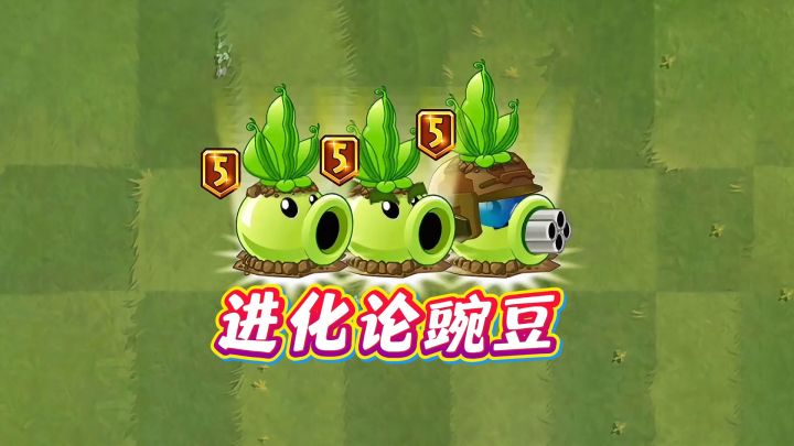 豌豆类植物,一阶与五阶后的变化有多大?截图