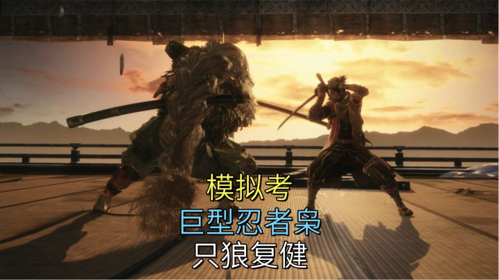 模拟考-巨型忍者枭【只狼】复健截图