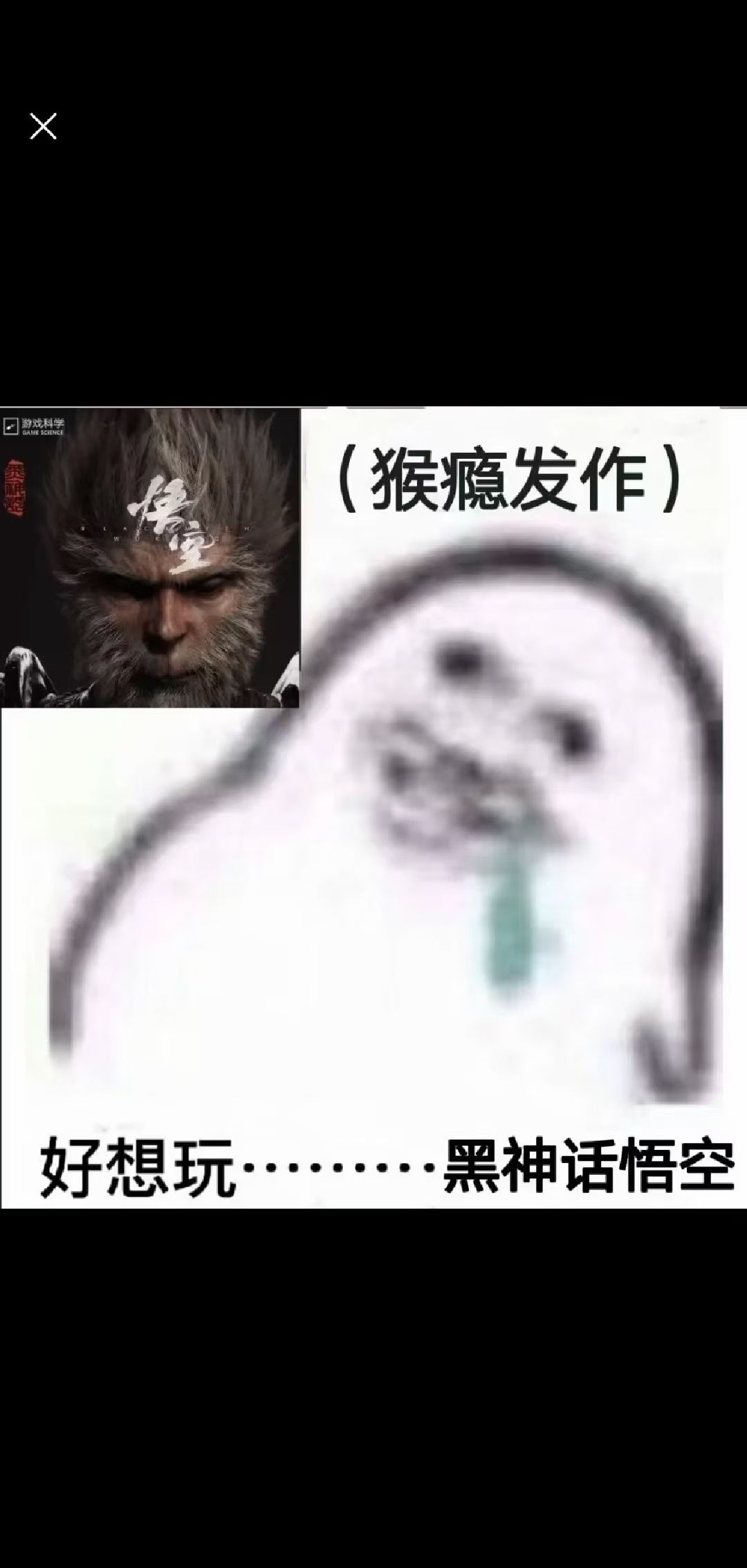 许愿黑猴子,等有时间一定练练技术 1