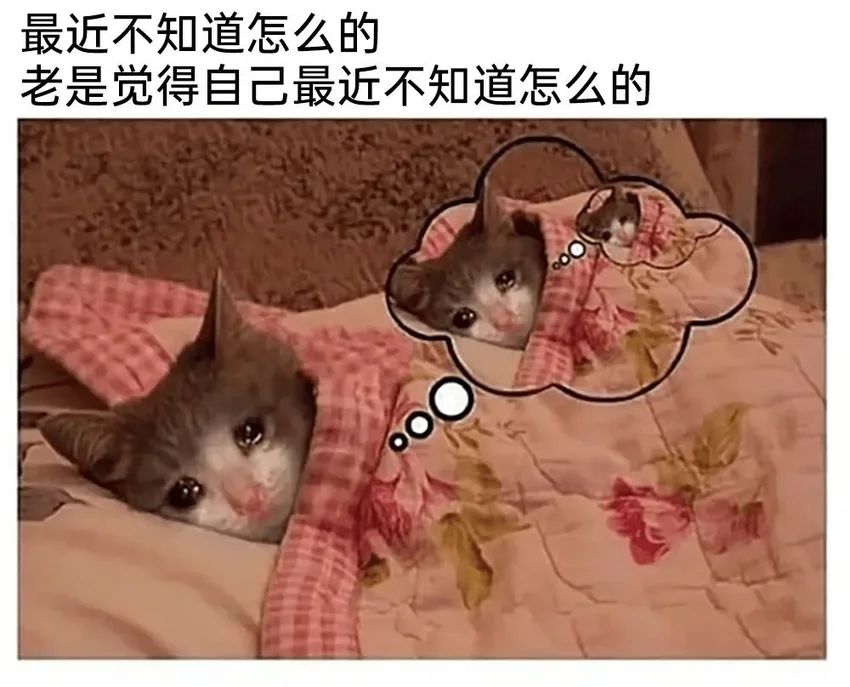 还没登顶吗 1