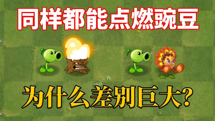 pvz2:都能点燃豌豆,火炬树桩和火柴花拳手为何差距如此大?截图