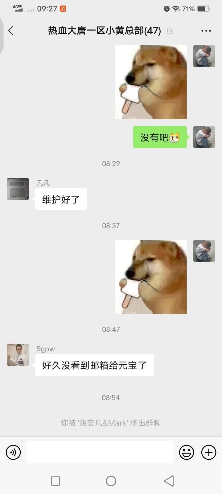 动态图片 5