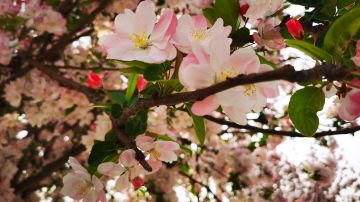 魅魔成长史2---之50层攻略