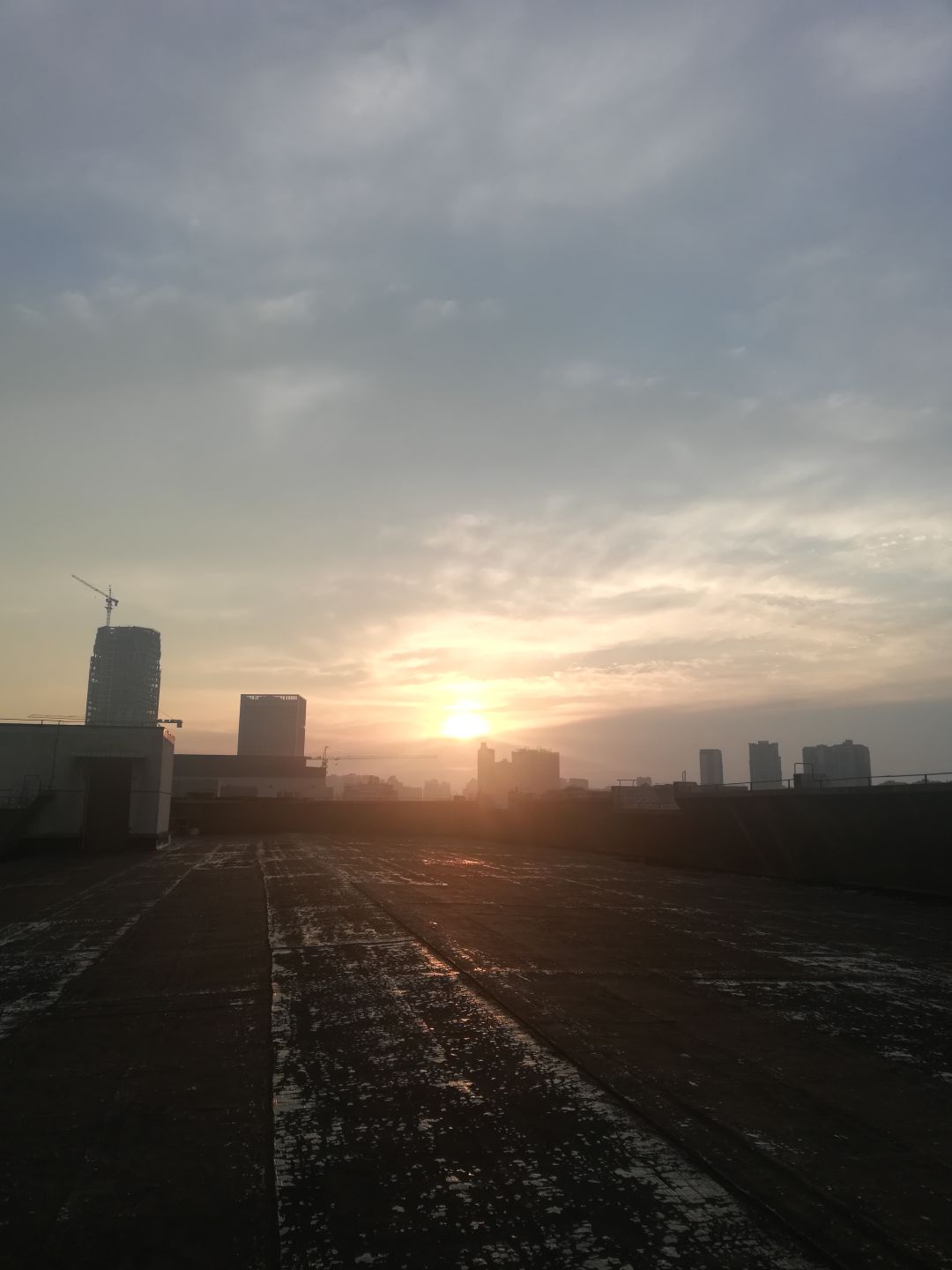 动态图片 4