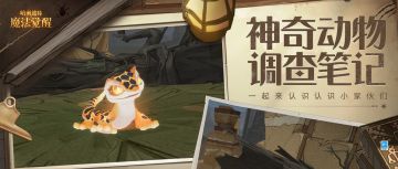 快到巫师们的箱子里来，火蜥蜴！