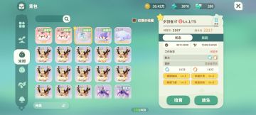 夕羽雀活动分析