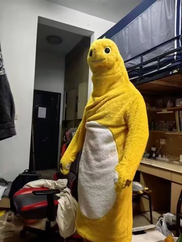 在建，怨我们邮寄鱼在乡间