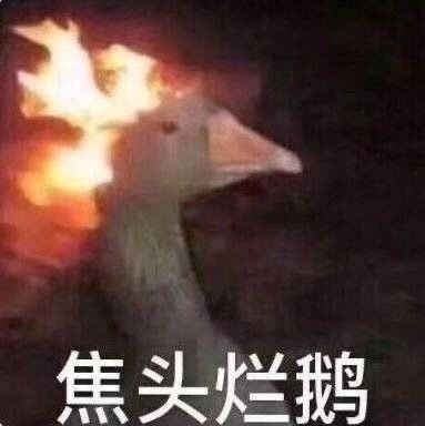 大吾老师烧鸡批发，锅炸了 4