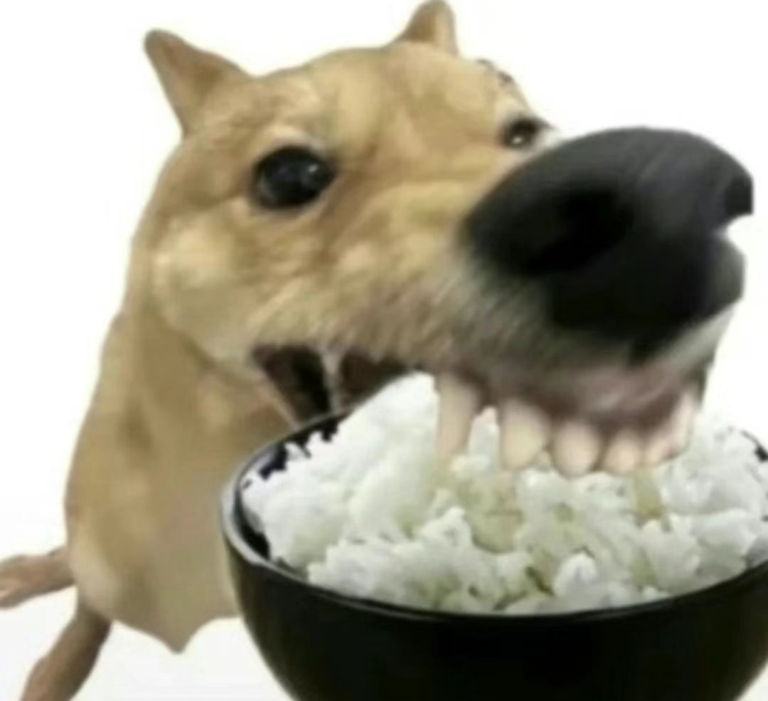 能做晨光啦 2
