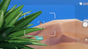 今日份［长耳鸮］观鸟攻略——刷新规律