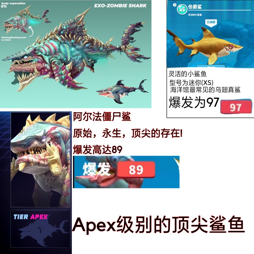 内鬼爆料(新鲨鱼) 1