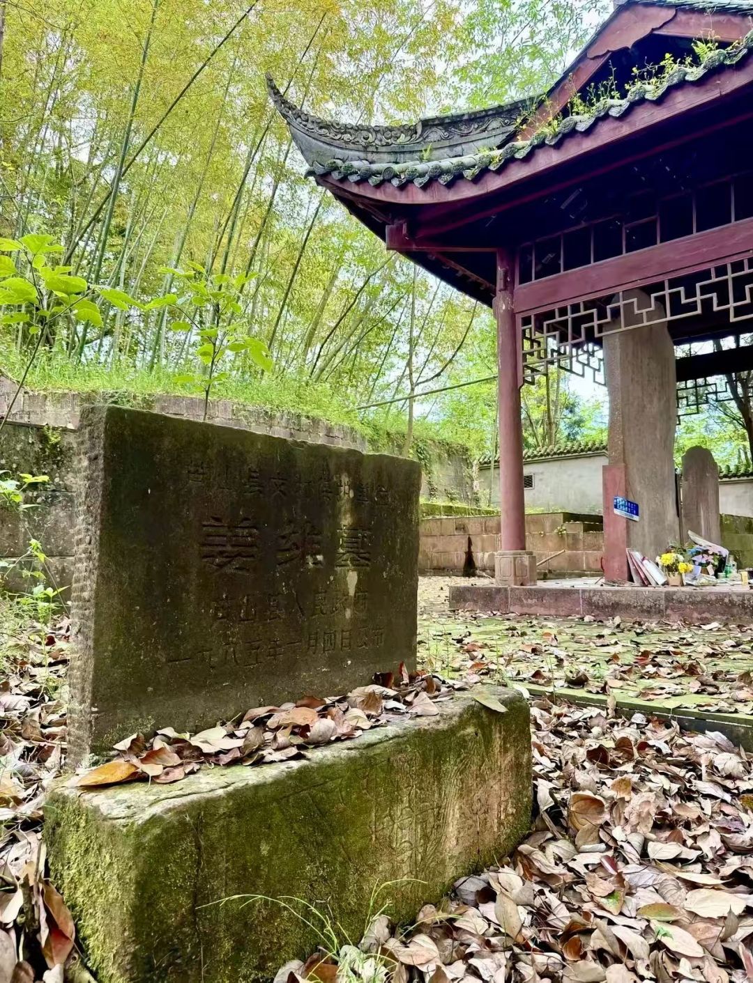 姜维墓 1