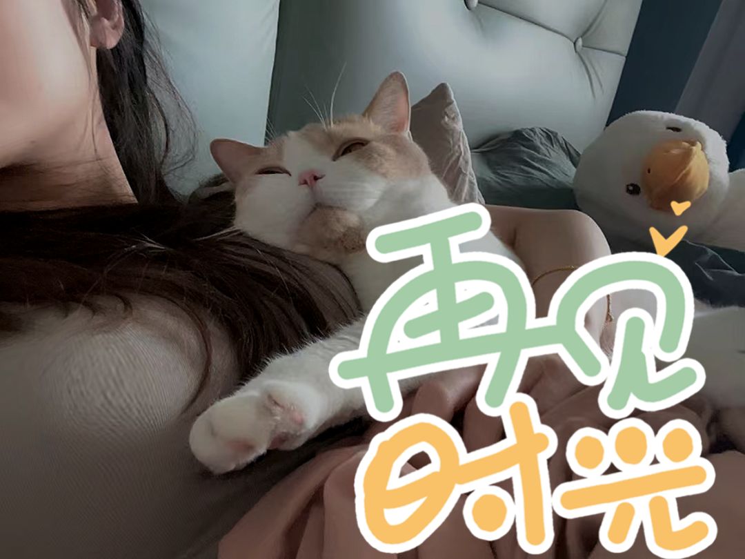 五点了,终于不用再做每日了~~~ 2