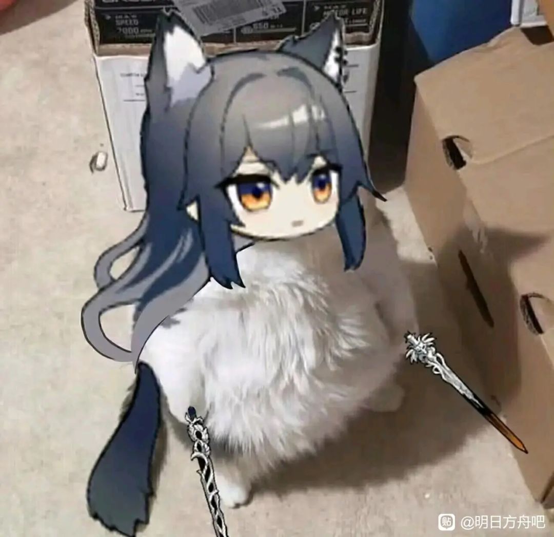 萌新裙招募友友啦! 3