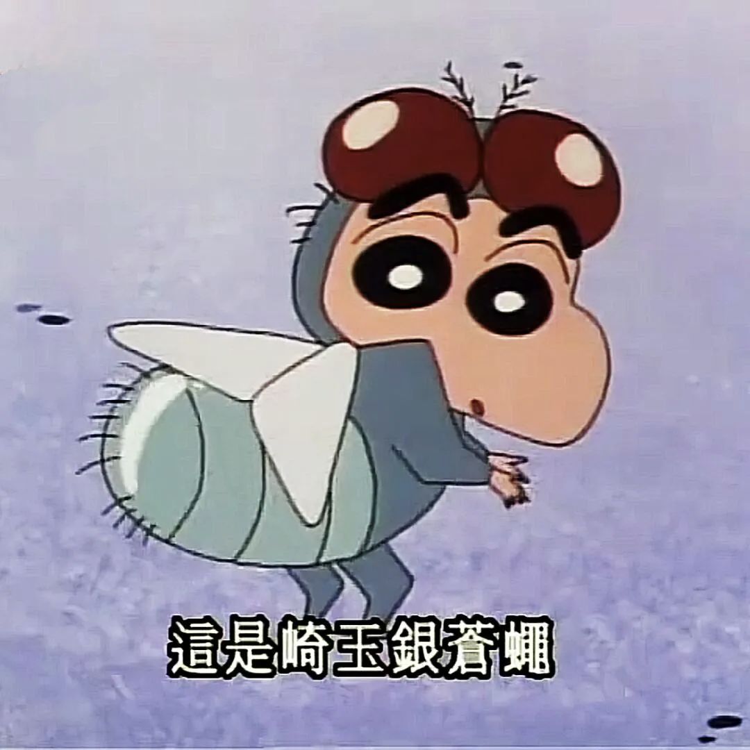 每日之星加好友 1