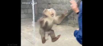 衣匠坦萌新攻略