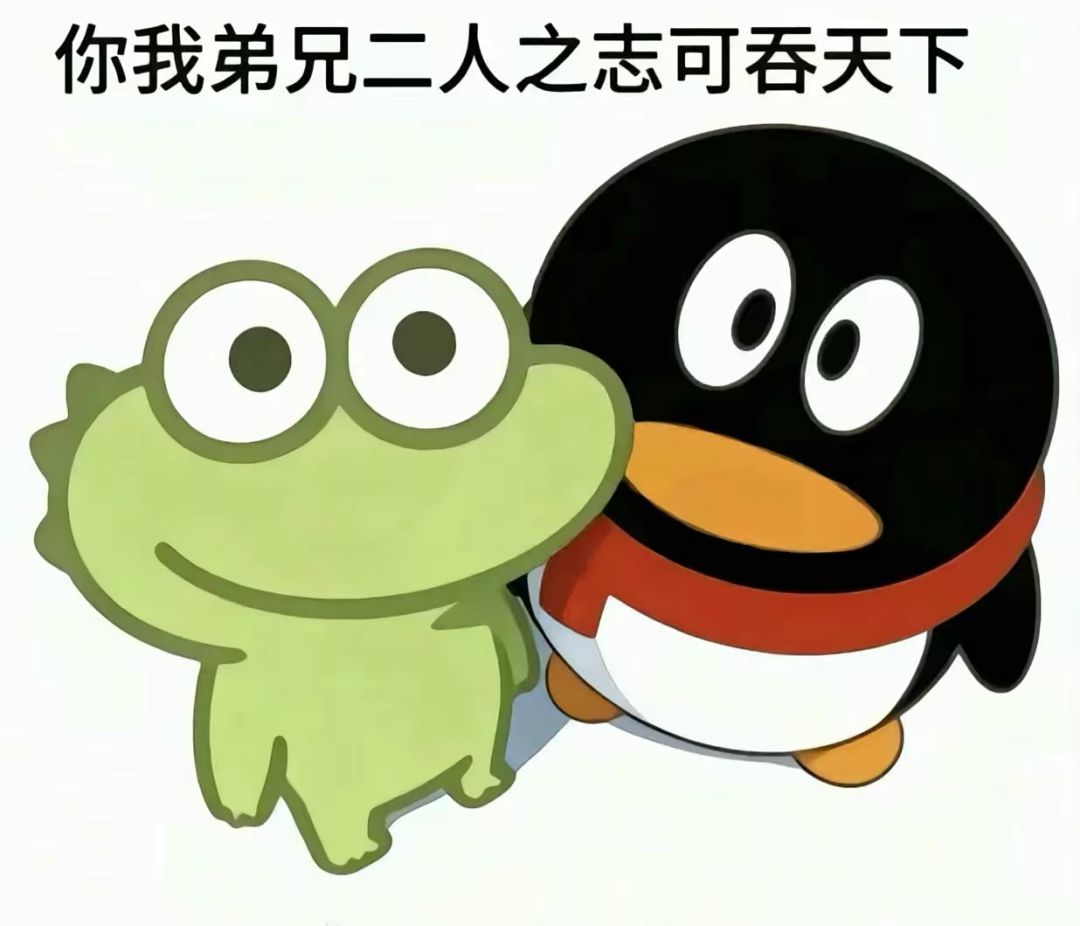 动态图片 11