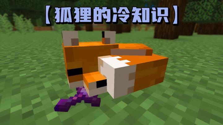 我的世界:狐狸的冷知识!原来它会保护玩家!截图