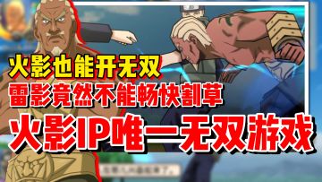 【全网最细】手短雷影来了！究极冲击雷影技能解析