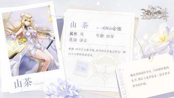 ✿花灵档案✿如山石般固执，似清茶般典雅