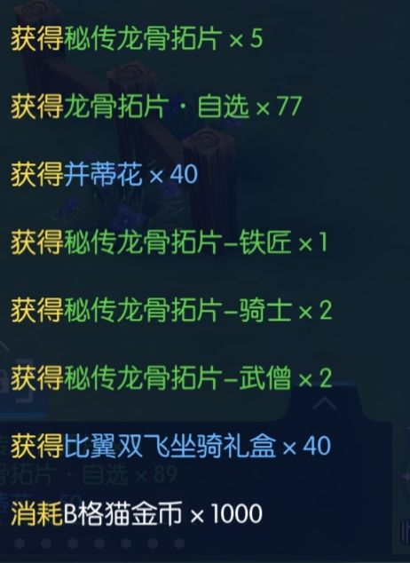 比翼双飞双人坐骑礼包前瞻 4