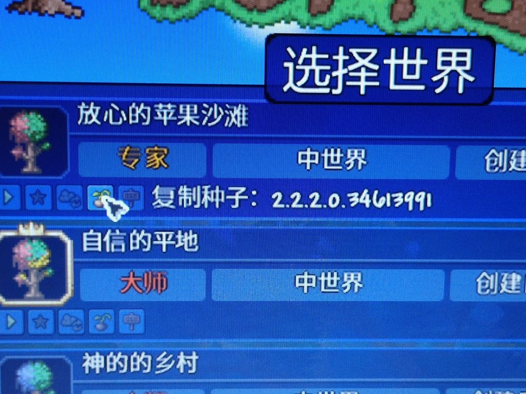 分享一个开荒超舒适的种子截图