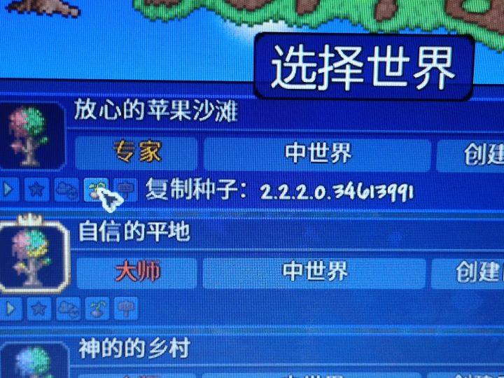 分享一个开荒超舒适的种子截图