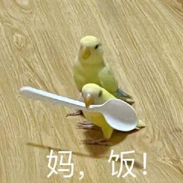想回归发现忘了怎么玩截图