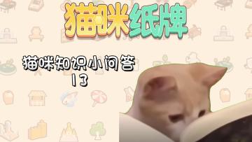 《猫咪纸牌》猫知识小问答 13🐱