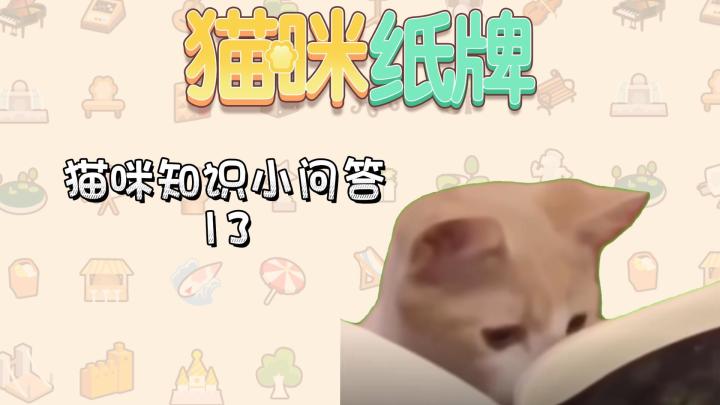《猫咪纸牌》猫知识小问答 13🐱截图