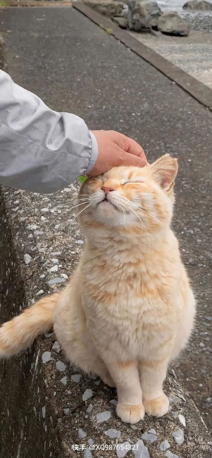 动态图片 9