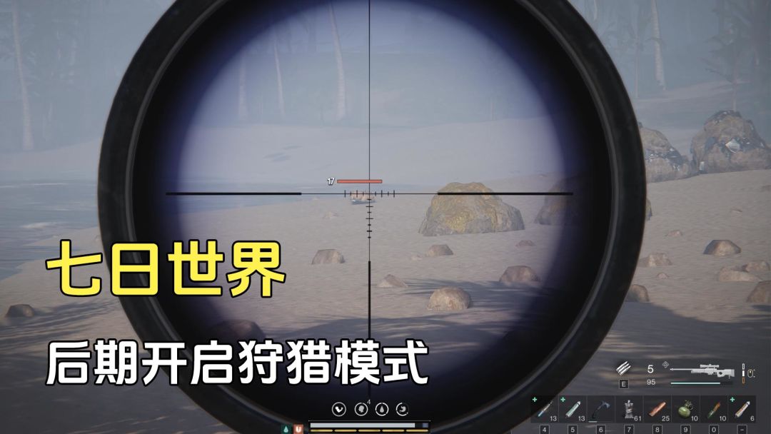 video-4005230