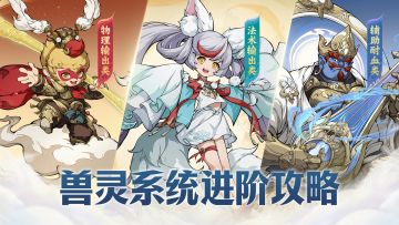 不同宠物分别搭配什么样的兽灵？大佬们都是怎么搭配兽灵的？