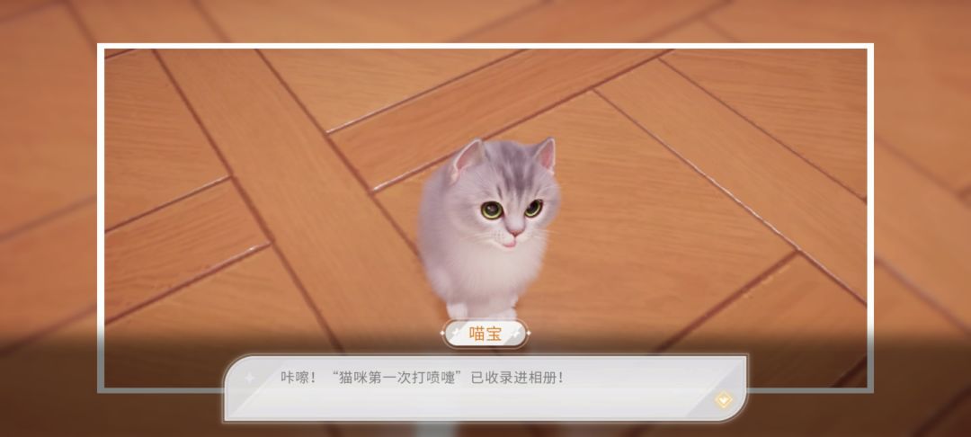 动态图片 6
