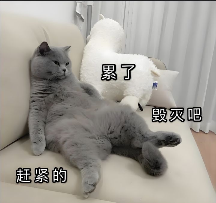 我是谁?我在那?我在干什么?截图